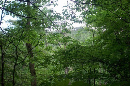 0 Chetola, Townsend, TN 37882
