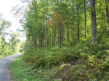 0 Chetola Trl, Townsend, TN 37882