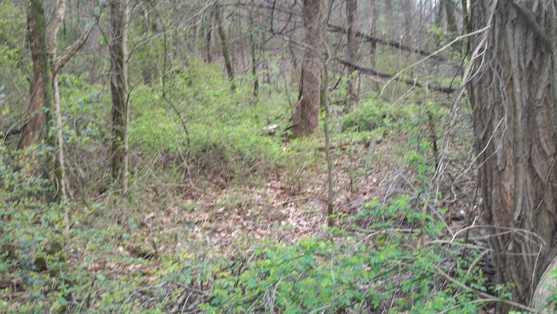 0 Chilhowee Dr, Seymour, TN 37865