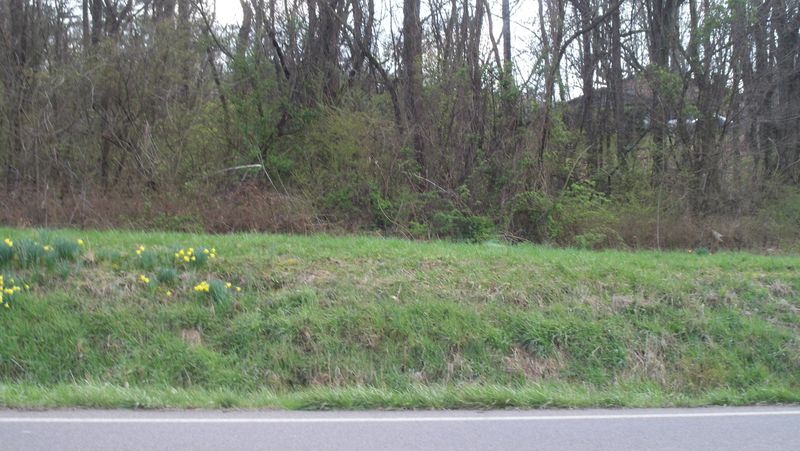 0 Chilhowee School Rd, Seymour, TN 37865