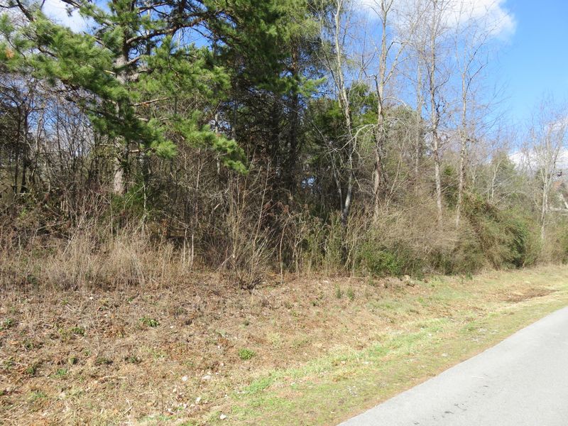 0 Chogi Lane Lot 11, Loudon, TN 37774