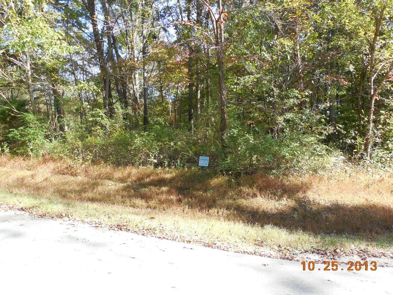 0 Choowa Tr, Loudon, TN 37774