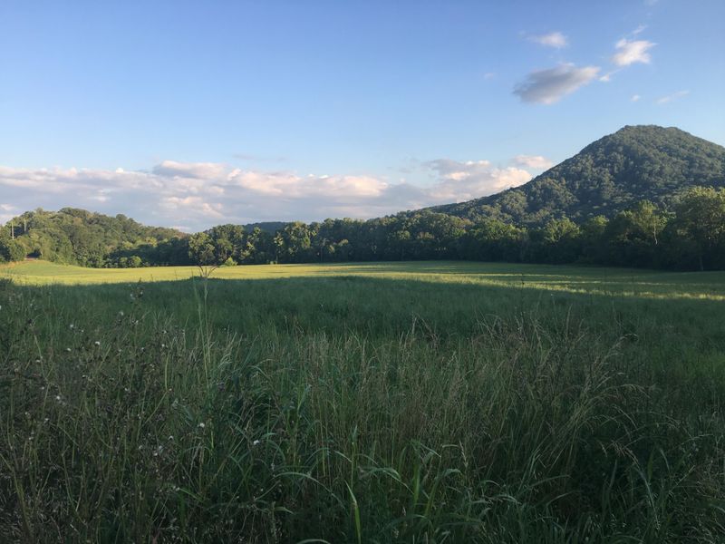 0 Circle Rd, Corryton, TN 37721