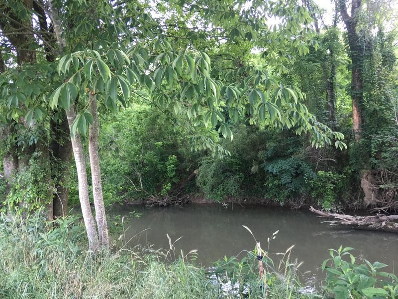 0 Circle Rd, Corryton, TN 37721