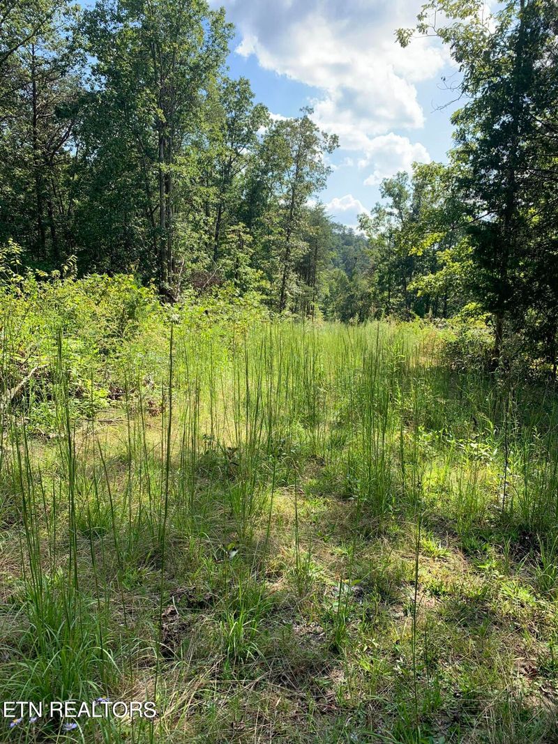 0 Citico Rd, Vonore, TN 37885