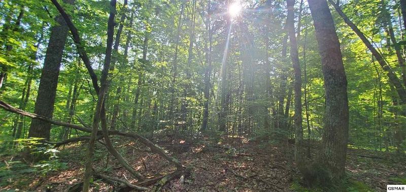0 Clabo Mountain Way, Sevierville, TN 37862