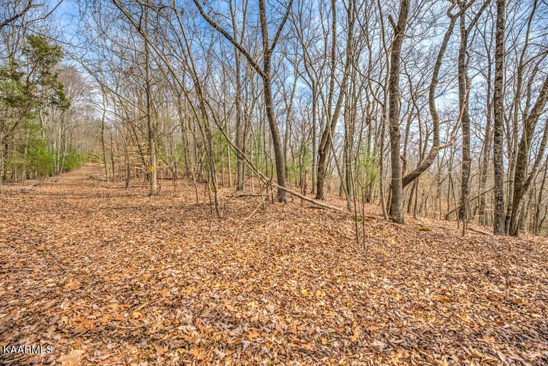 0 Clara Mae Dr, Rockwood, TN 37854