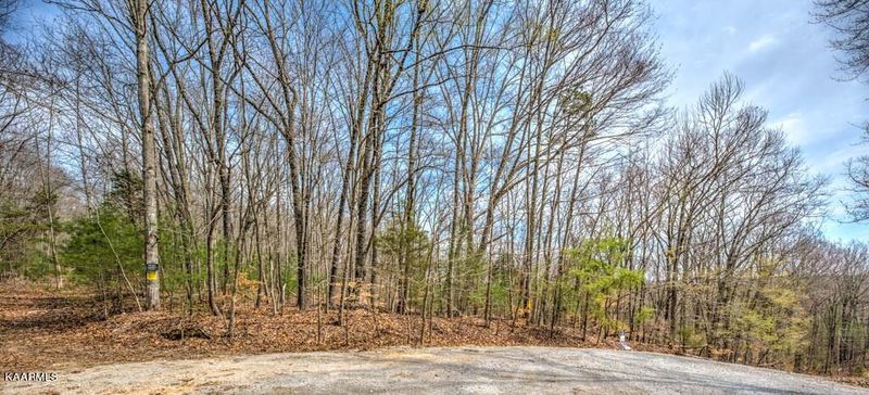 0 Clara Mae Dr, Rockwood, TN 37854