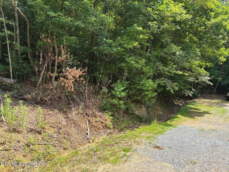 0 Claude Shields Way, Sevierville, TN 37876
