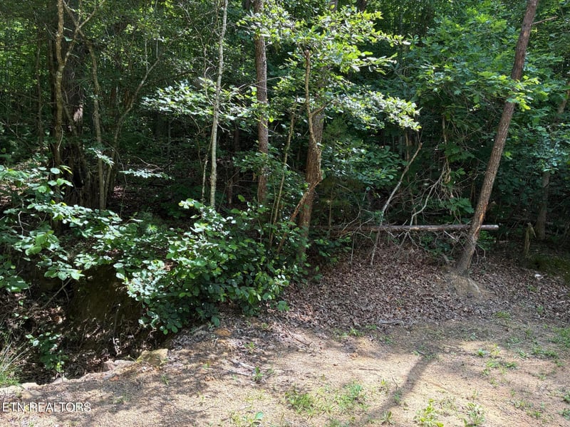0 Claude Shields Way, Sevierville, TN 37876