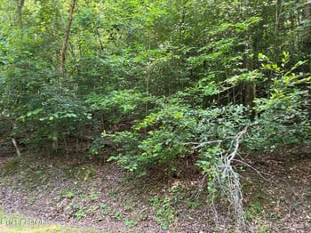 0 Claude Shields Way, Sevierville, TN 37876