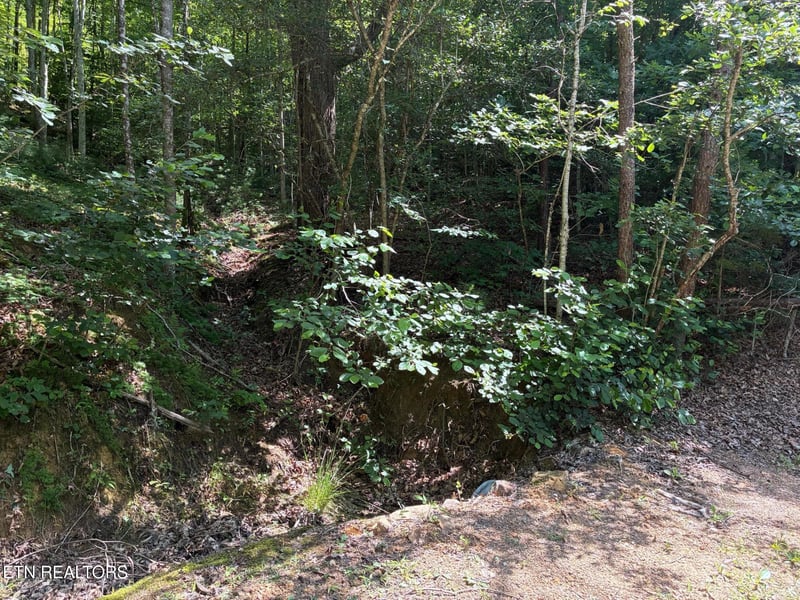 0 Claude Shields Way, Sevierville, TN 37876