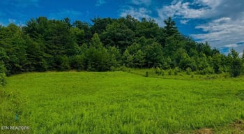 0 Clay Boyatt Rd, Oneida, TN 37841