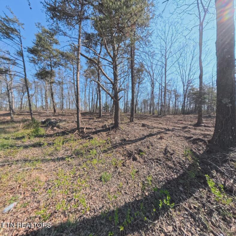 0 Claysville Road Lot 4 Rd, Crossville, TN 38571