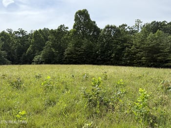 0 Clear Creek Rd 41 Acres, Crossville, TN 38571