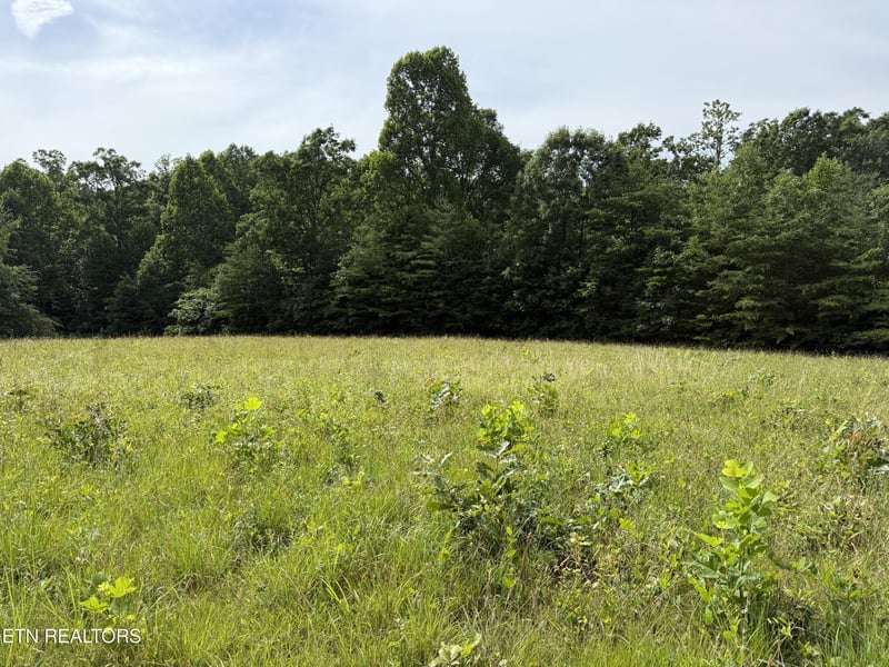 0 Clear Creek Rd 41 Acres, Crossville, TN 38571