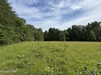 0 Clear Creek Rd 41 Acres, Crossville, TN 38571