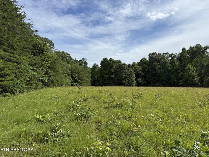 0 Clear Creek Rd 41 Acres, Crossville, TN 38571
