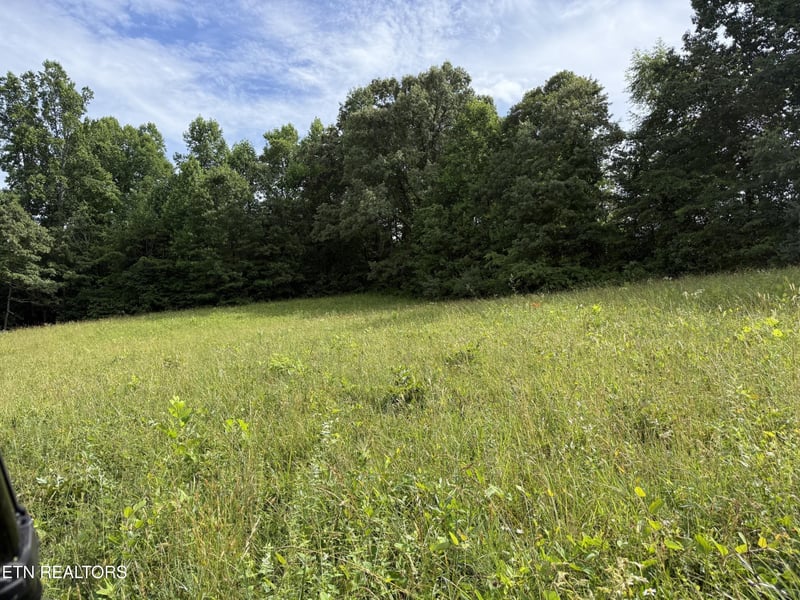 0 Clear Creek Rd 41 Acres, Crossville, TN 38571