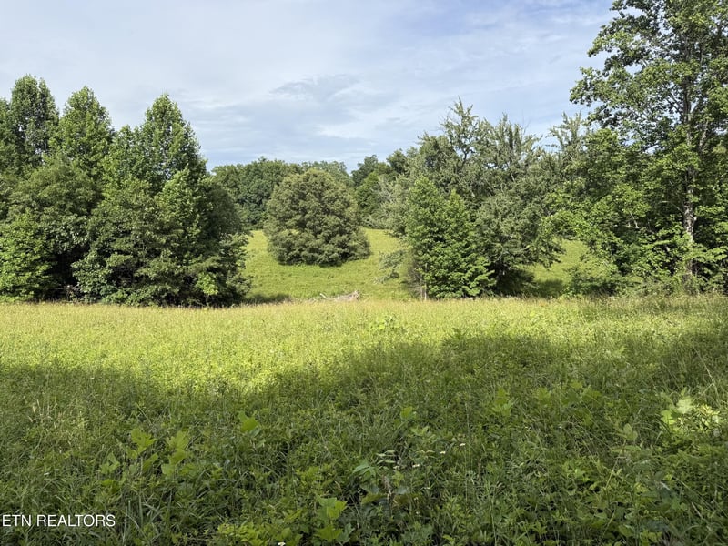 0 Clear Creek Rd 41 Acres, Crossville, TN 38571