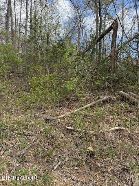 0 Clear Springs Rd, Harriman, TN 37748