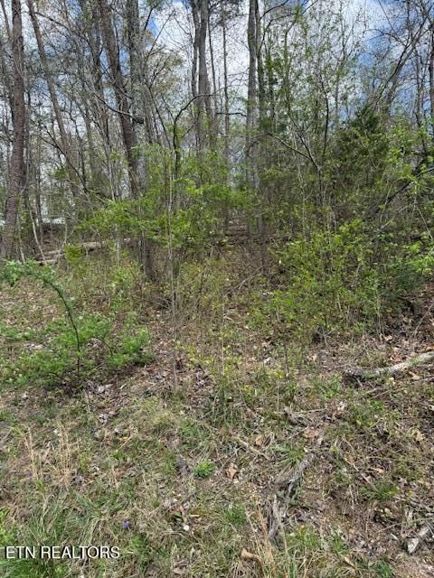 0 Clear Springs Rd, Harriman, TN 37748