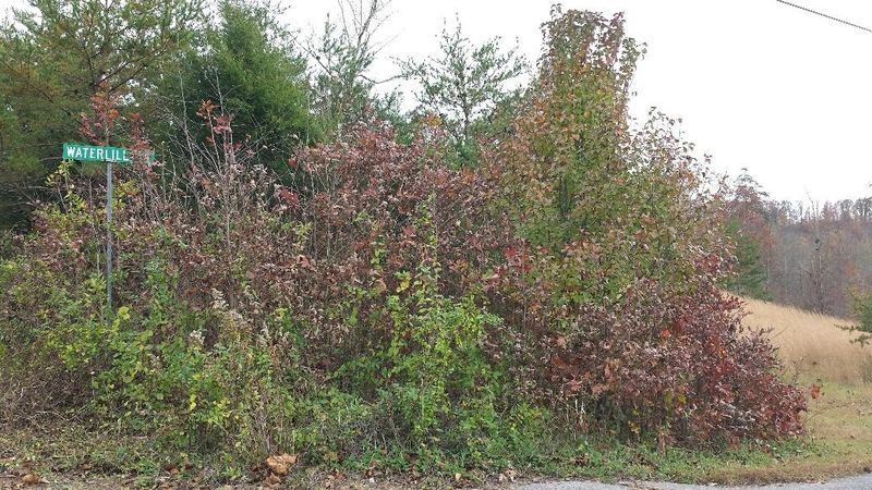 0 Clearwater Ridge Rd, Maynardville, TN 37807