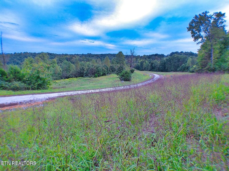0 Clearwater View Ln, Lafollette, TN 37766