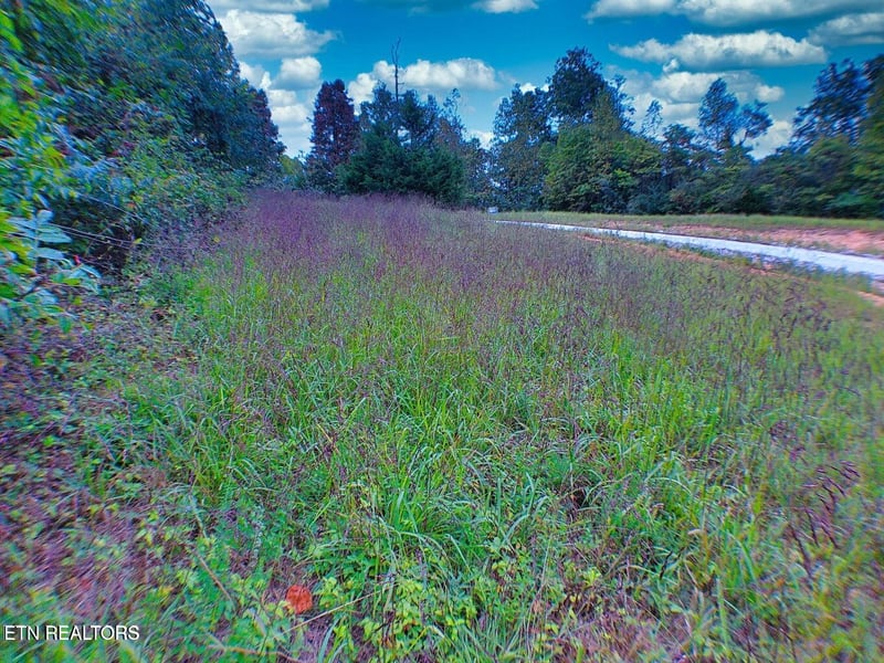 0 Clearwater View Ln, Lafollette, TN 37766