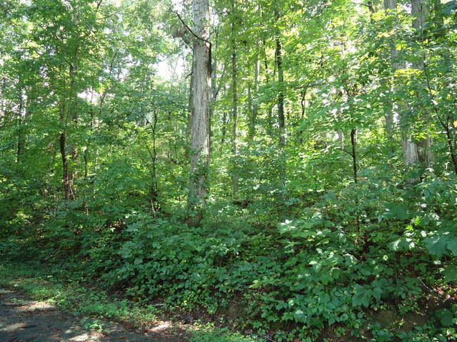 0 Clegg St, Madisonville, TN 37354