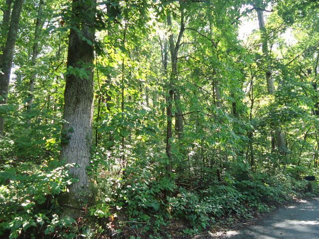 0 Clegg St, Madisonville, TN 37354