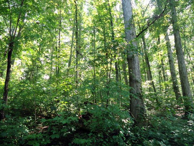 0 Clegg St, Madisonville, TN 37354