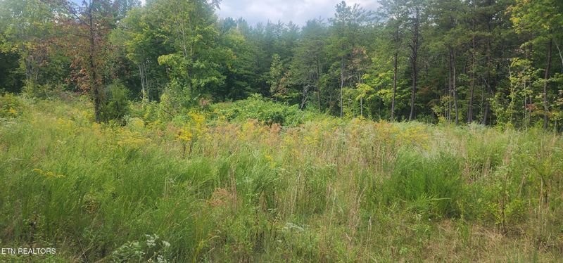 0 Clifty Cr Rd, Winfield, TN 37892