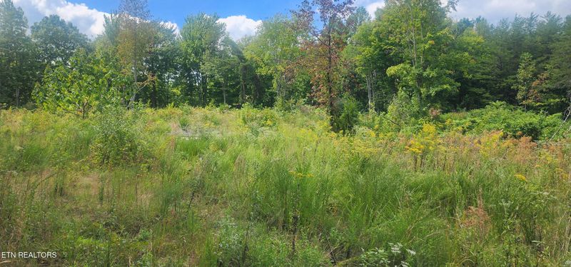 0 Clifty Cr Rd, Winfield, TN 37892