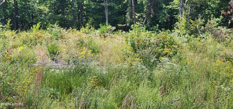 0 Clifty Cr Rd, Winfield, TN 37892