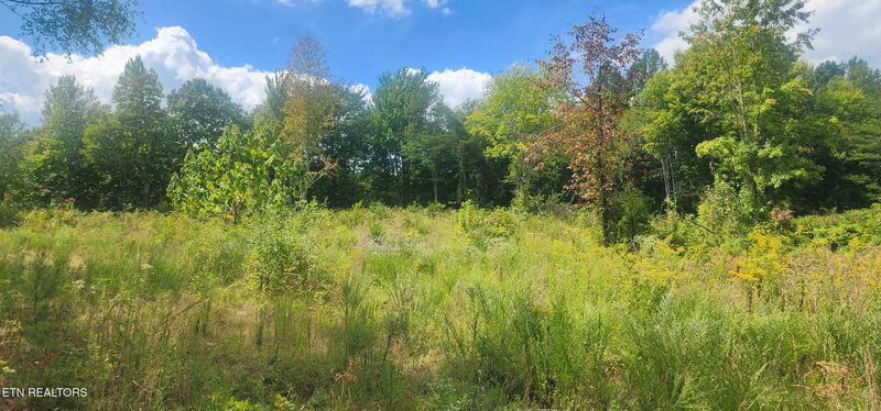 0 Clifty Cr Rd, Winfield, TN 37892