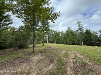 0 Clifty Creek Rd, Winfield, TN 37892
