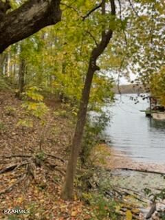 0 Clinchcrest Dr, Kingston, TN 37763