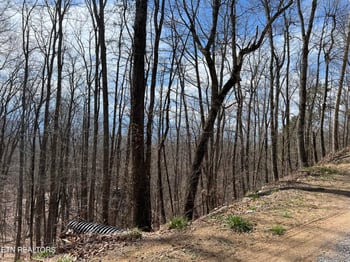 0 Clingmans Vw Lot 18, Sevierville, TN 37876
