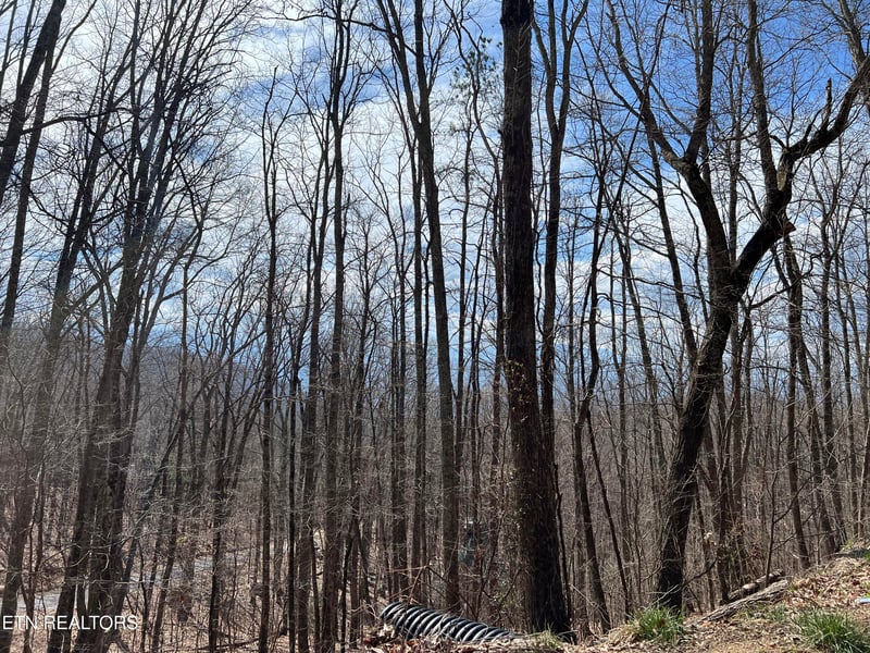 0 Clingmans Vw Lot 18, Sevierville, TN 37876
