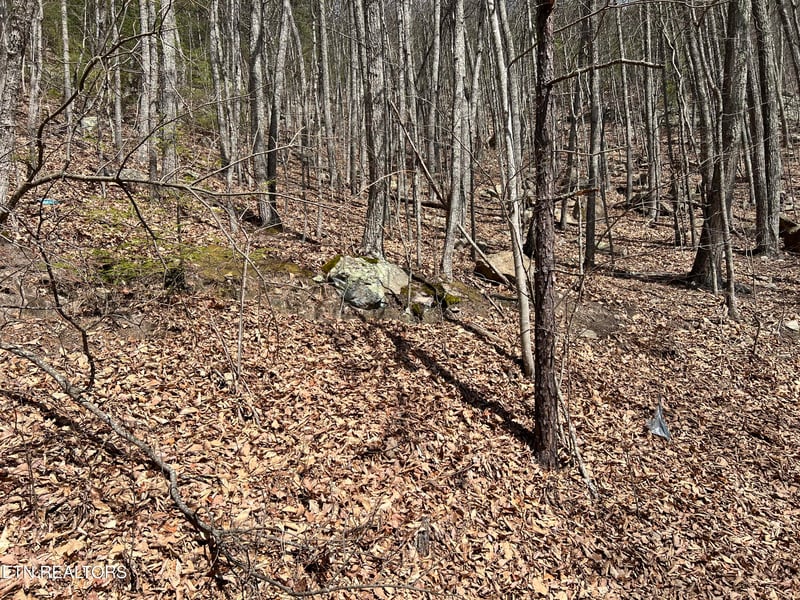 0 Clingmans Vw Lot 18, Sevierville, TN 37876