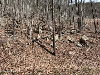 0 Clingmans Vw Lot 18, Sevierville, TN 37876