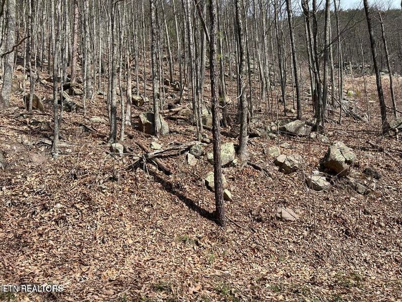 0 Clingmans Vw Lot 18, Sevierville, TN 37876