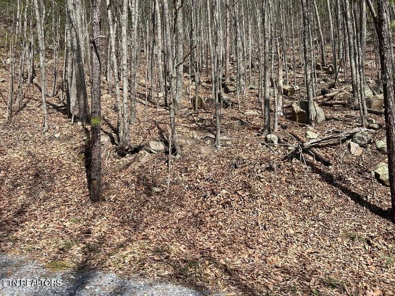 0 Clingmans Vw Lot 18, Sevierville, TN 37876