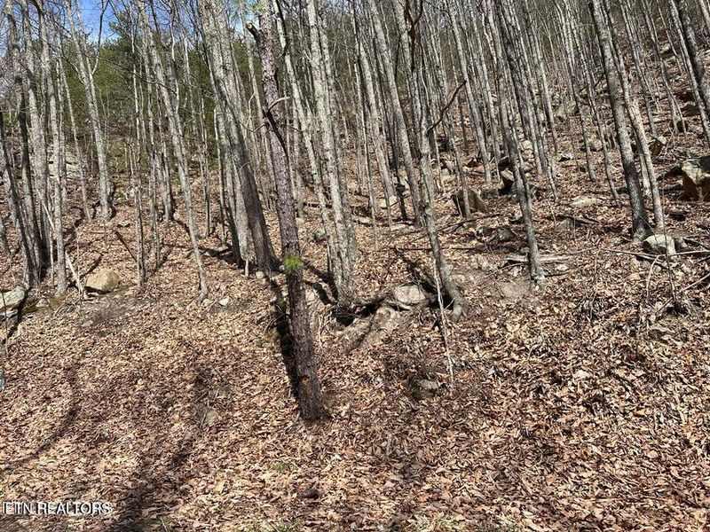 0 Clingmans Vw Lot 18, Sevierville, TN 37876