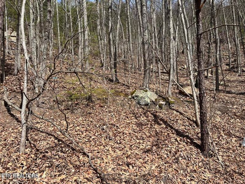 0 Clingmans Vw Lot 18, Sevierville, TN 37876