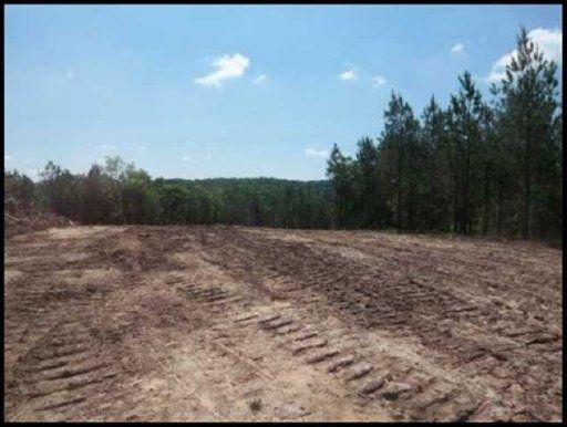 0 Co Rd 192, Niota, TN 37826