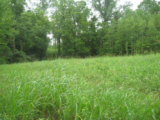 0 Co Rd 420, Athens, TN 37303