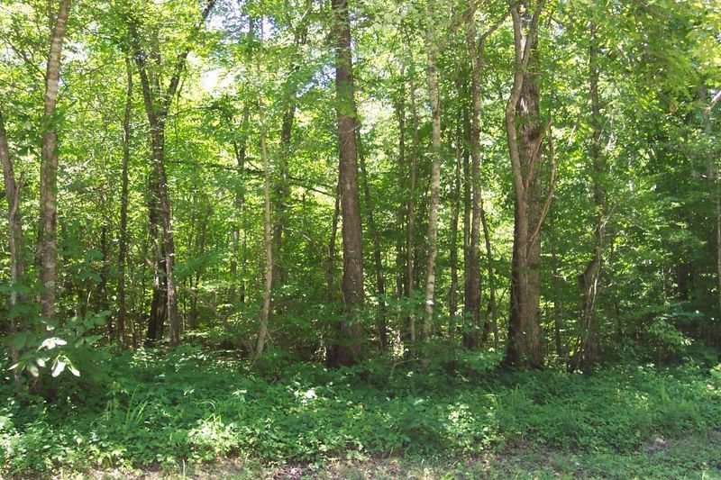 0 Co Rd 48, Calhoun, TN 37309