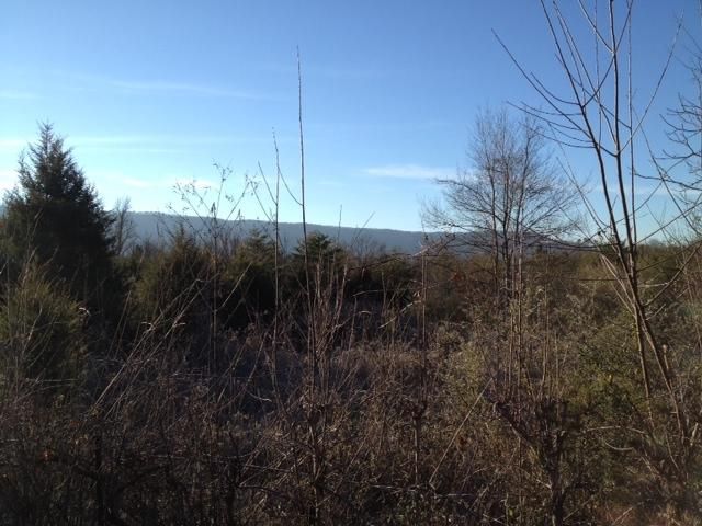 0 Co Rd 488, Etowah, TN 37331